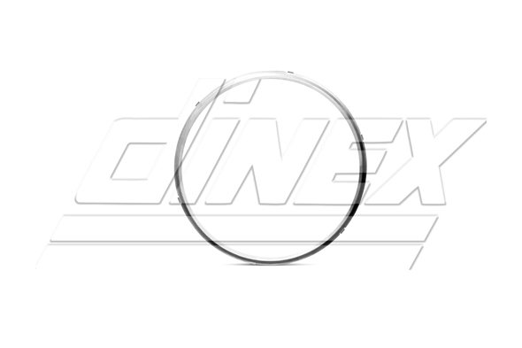 Colier, sistem de esapament 5AL005 DINEX