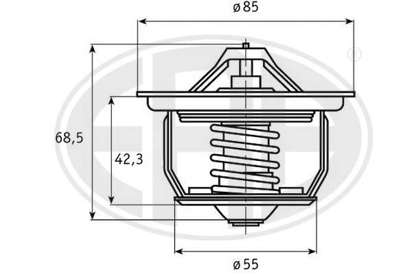 termostat,lichid racire 350223 ERA