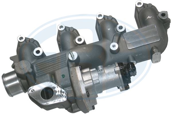 Supapa EGR 555306 ERA