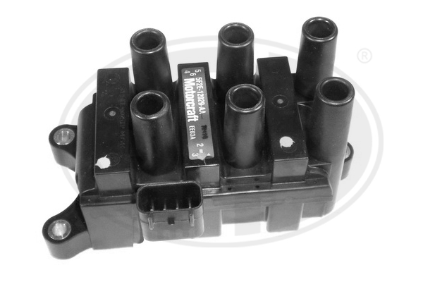 bobina de inductie 880295 ERA