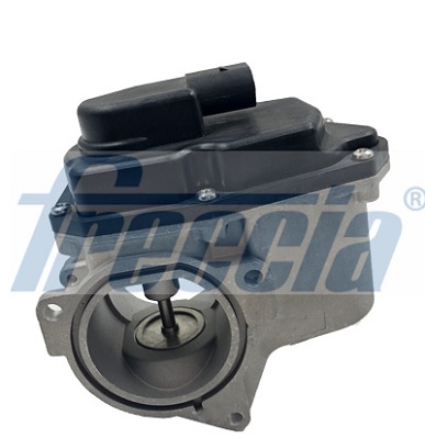 Supapa EGR EGR12-123 FRECCIA