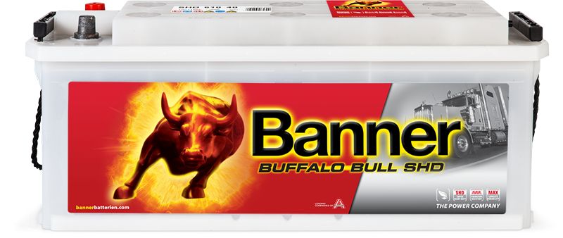 Baterie de pornire 018610400101 BannerPool