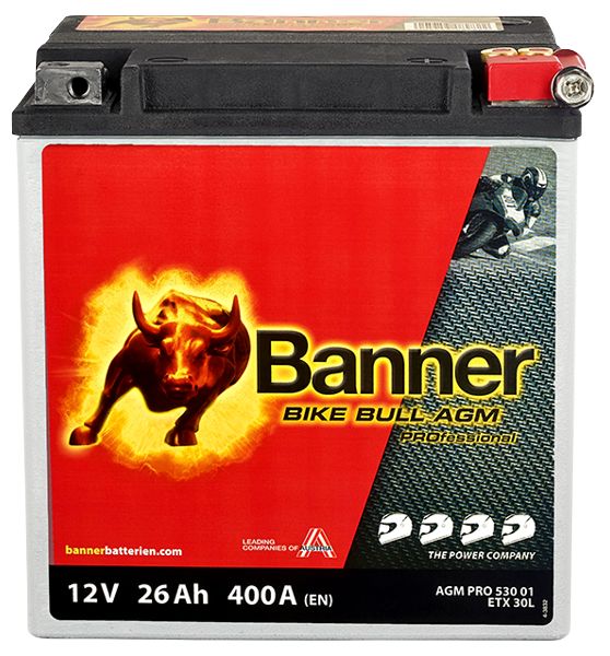 Baterie de pornire 024530010101 BannerPool