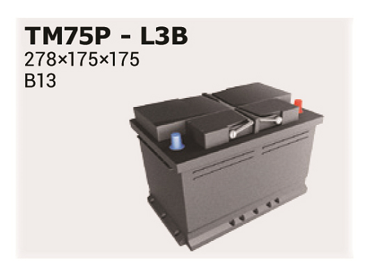 Baterie de pornire TM75P IPSA