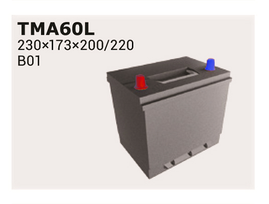 Baterie de pornire TMA60L IPSA