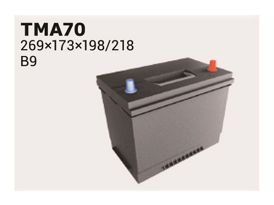 Baterie de pornire TMA70 IPSA