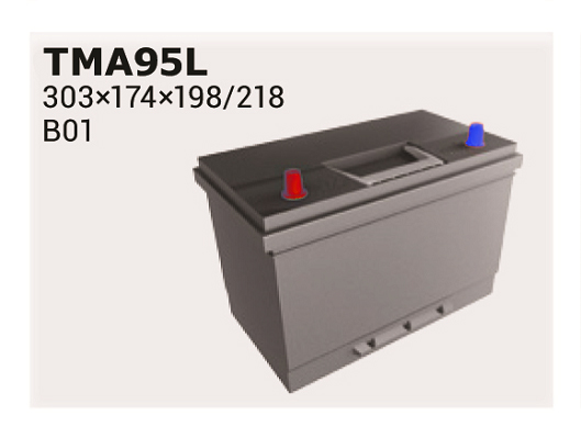 Baterie de pornire TMA95L IPSA