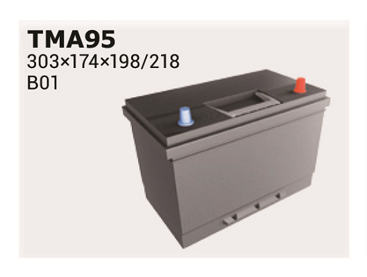 Baterie de pornire TMA95 IPSA