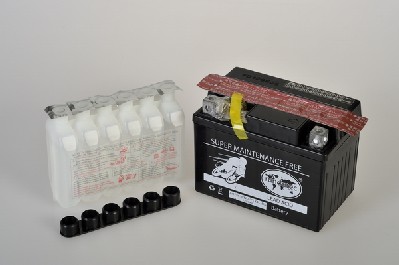 Baterie de pornire TMBA50411 IPSA