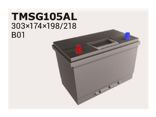 Baterie de pornire TMSG105AL IPSA