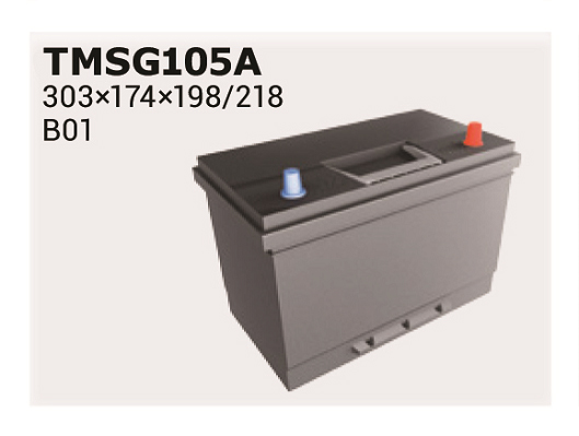 Baterie de pornire TMSG105A IPSA