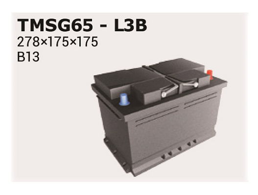 Baterie de pornire TMSG65 IPSA