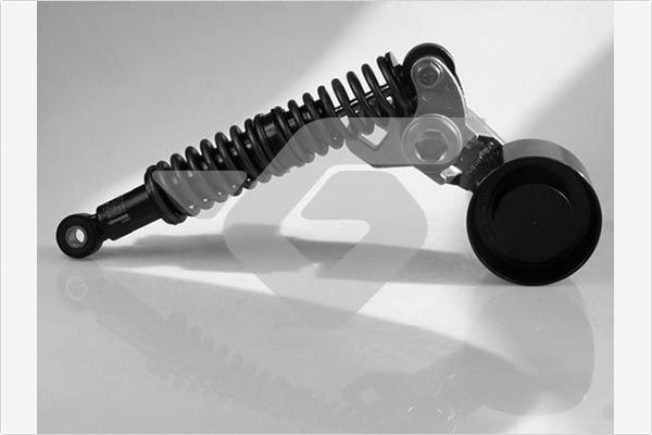 Rola intinzator,curea transmisie T3077 HUTCHINSON