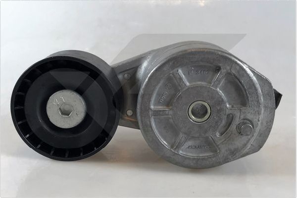 Rola intinzator,curea transmisie TK068 HUTCHINSON