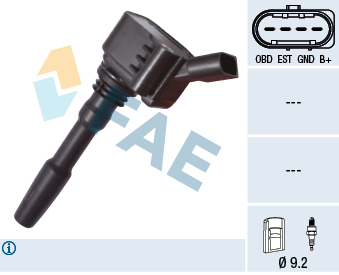 Bobina de inductie 80238 FAE