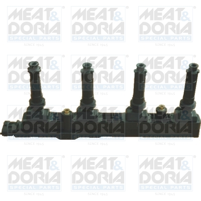 Bobina de inductie 10469 MEAT & DORIA