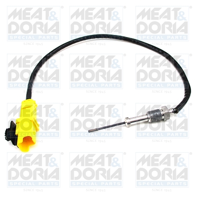 Senzor, temperatura gaze evacuare 11902E MEAT & DORIA