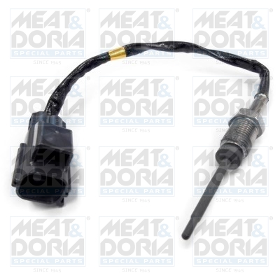 Senzor, temperatura gaze evacuare 11914 MEAT & DORIA