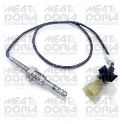 Senzor, temperatura gaze evacuare 12075 MEAT & DORIA