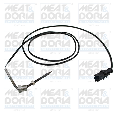 Senzor, temperatura gaze evacuare 12076 MEAT & DORIA