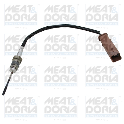 Senzor, temperatura gaze evacuare 12168 MEAT & DORIA