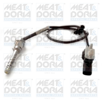 Senzor, temperatura gaze evacuare 12201 MEAT & DORIA