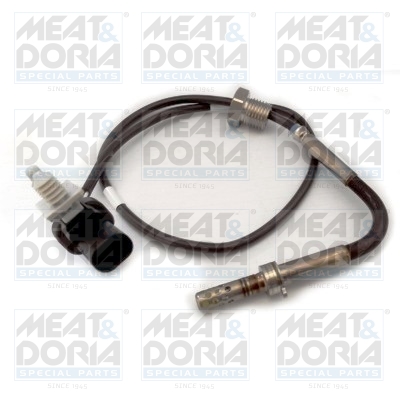 Senzor, temperatura gaze evacuare 12202 MEAT & DORIA