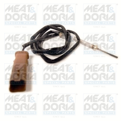 Senzor, temperatura gaze evacuare 12287 MEAT & DORIA