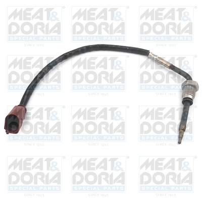 Senzor, temperatura gaze evacuare 12326 MEAT & DORIA
