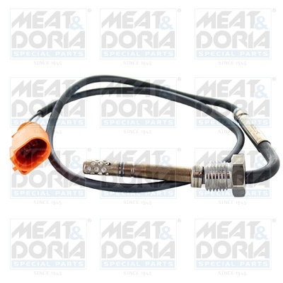 Senzor, temperatura gaze evacuare 12338 MEAT & DORIA