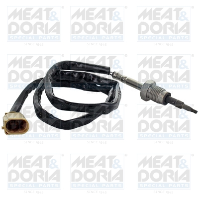 Senzor, temperatura gaze evacuare 12352 MEAT & DORIA