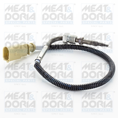 Senzor, temperatura gaze evacuare 12398 MEAT & DORIA