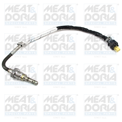 Senzor, temperatura gaze evacuare 12453 MEAT & DORIA