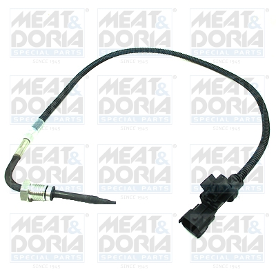 Senzor, temperatura gaze evacuare 12470 MEAT & DORIA