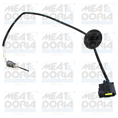 Senzor, temperatura gaze evacuare 12478 MEAT & DORIA