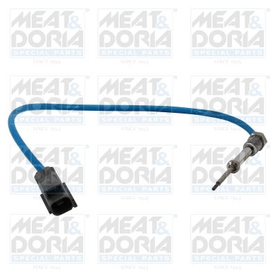 Senzor, temperatura gaze evacuare 12530 MEAT & DORIA