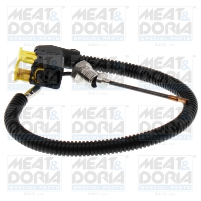 Senzor, temperatura gaze evacuare 12735 MEAT & DORIA