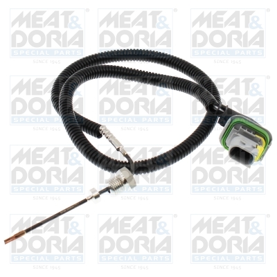 Senzor, temperatura gaze evacuare 12736 MEAT & DORIA