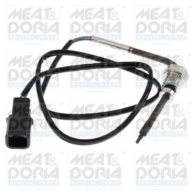 Senzor, temperatura gaze evacuare 12740 MEAT & DORIA