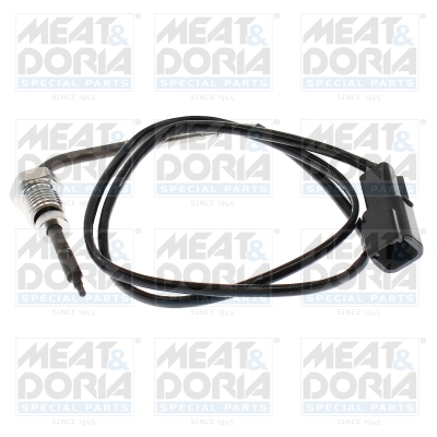 Senzor, temperatura gaze evacuare 12745 MEAT & DORIA
