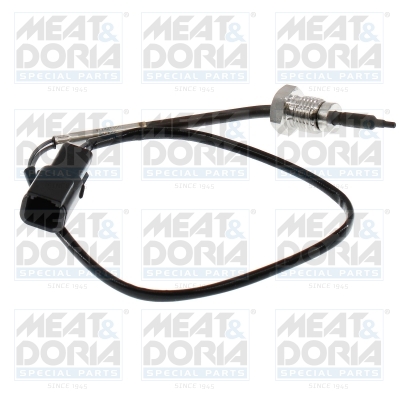 Senzor, temperatura gaze evacuare 12746 MEAT & DORIA