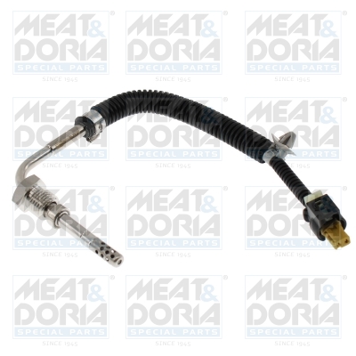 Senzor, temperatura gaze evacuare 12753 MEAT & DORIA