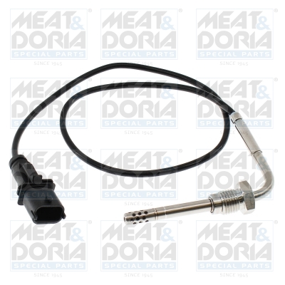 Senzor, temperatura gaze evacuare 12770 MEAT & DORIA