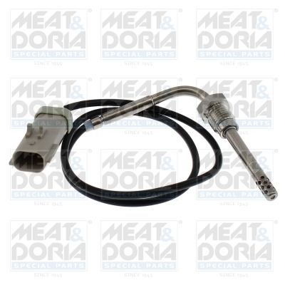 Senzor, temperatura gaze evacuare 12771 MEAT & DORIA