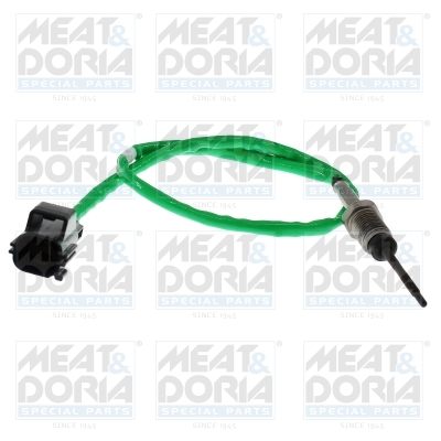 Senzor, temperatura gaze evacuare 12817 MEAT & DORIA