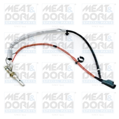 Unitate de injectie, regenerare filtru de particule 1953 MEAT & DORIA