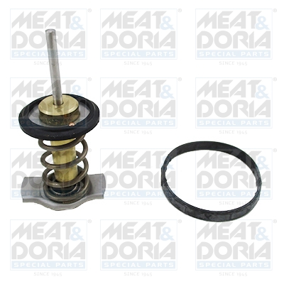 termostat,lichid racire 92940 MEAT & DORIA