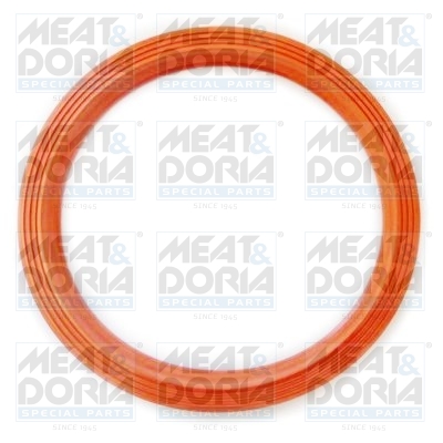 Garnitura, capac rezervor GSK09 MEAT & DORIA
