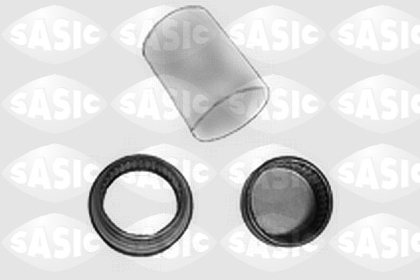 Set reparatie, corp ax 1005127 SASIC