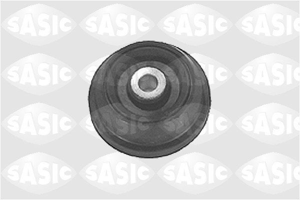 Rulment sarcina suport arc 1615205 SASIC